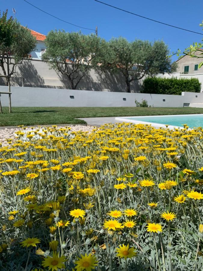 Tony's House With Private Pool, Garden And Parking Zadar