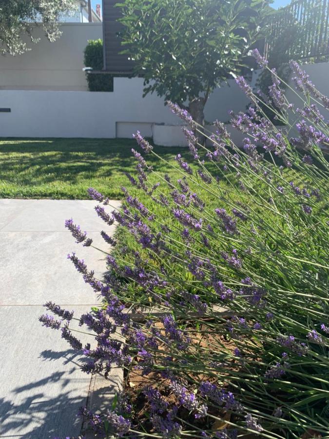 Tony's House With Private Pool, Garden And Parking Vila *